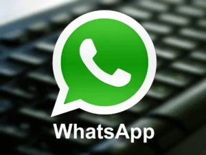 WhatsAppWeb网页版-WhatsApp官方网页登录地址 - IPet博客