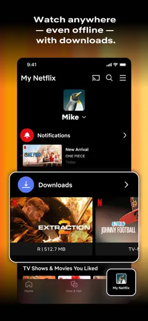 图片[2] - Netflix (网飞) 官方最新安卓版APK - IPet博客