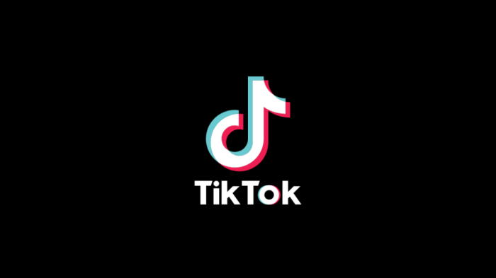 TikTok 国际版网页入口是什么？ - IPet博客