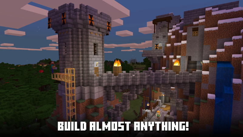 图片[3] - 我的世界（Minecraft）国际服 - IPet博客