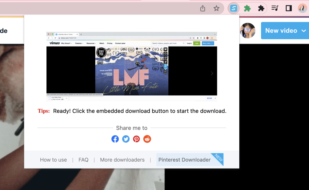 图片[3] - Vimeo™ 视频下载器 Chrome 插件下载 - IPet博客