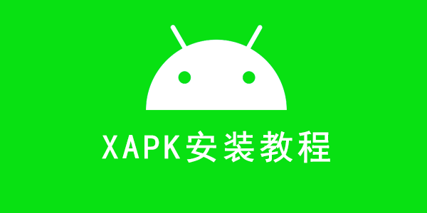 XAPK / APK 安装应用教程