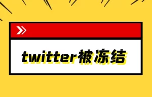 推特账号被冻结原因与申诉教程 - IPet博客