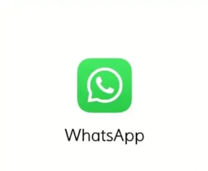 WhatsApp网页版-官方入口网页版在线使用 - IPet博客